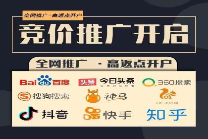 百度广告投放策略优化及成功案例解析